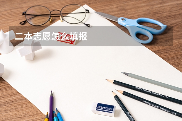 二本志愿怎么填报