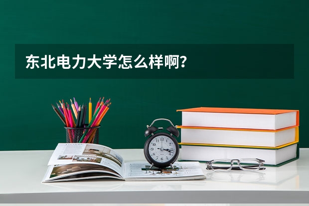 东北电力大学怎么样啊？