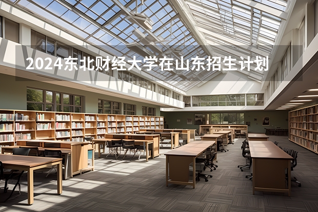 2024东北财经大学在山东招生计划表