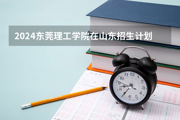 2024东莞理工学院在山东招生计划表