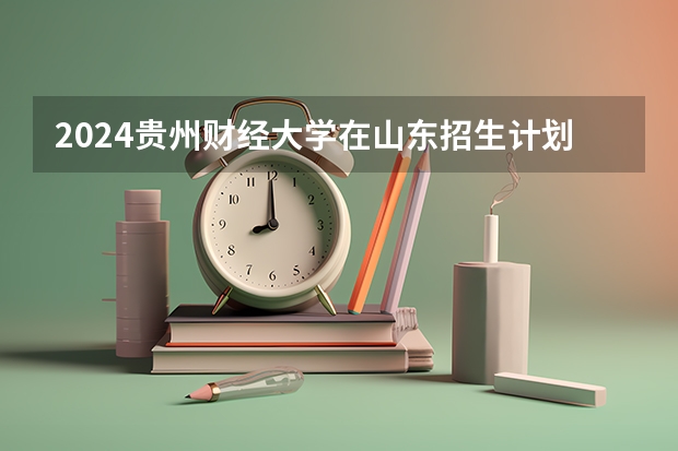 2024贵州财经大学在山东招生计划表