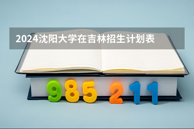2024沈阳大学在吉林招生计划表