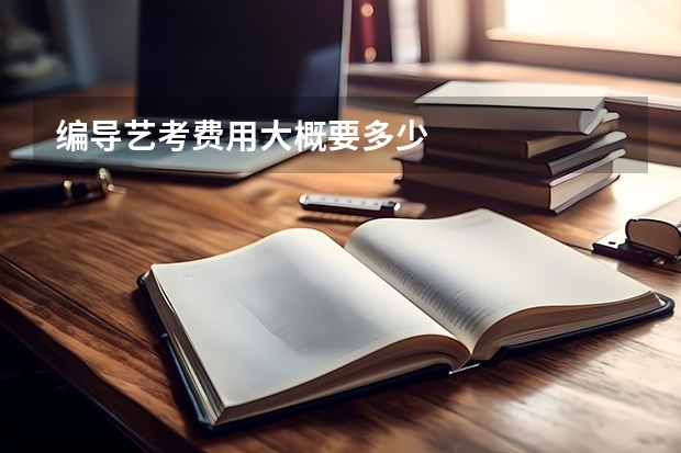 编导艺考费用大概要多少