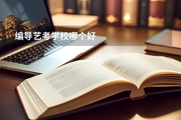 编导艺考学校哪个好