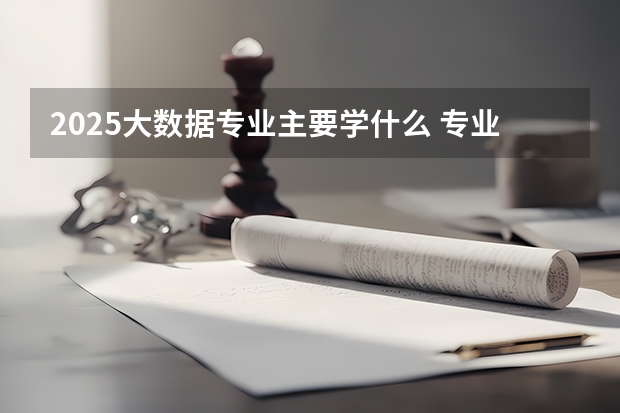 2025大数据专业主要学什么 专业前景如何