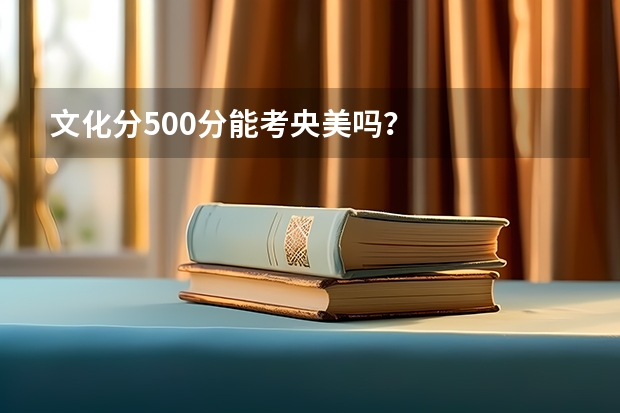 文化分500分能考央美吗？