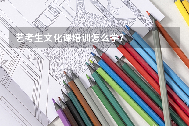 艺考生文化课培训怎么学？