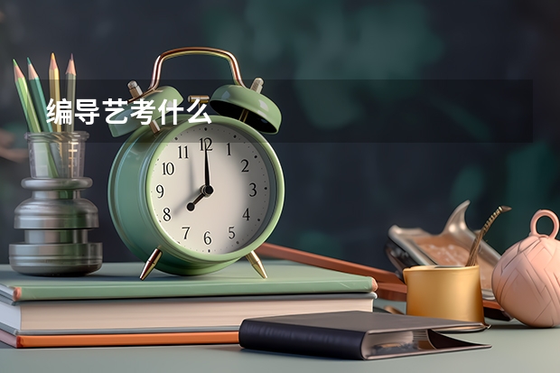 编导艺考什么